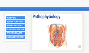 Urinary-lectora